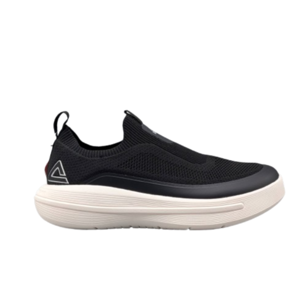PEAK TAICHI CASUAL SHOES ORIGINAL ( 3010 / 2010 )
