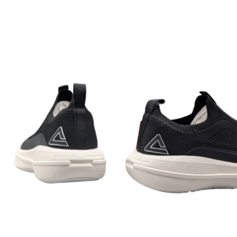 PEAK TAICHI CASUAL SHOES ORIGINAL ( 3010 / 2010 )
