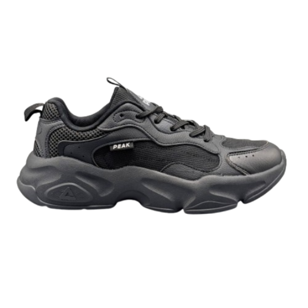 PEAK-TAICHI SHOES ALL BLACK